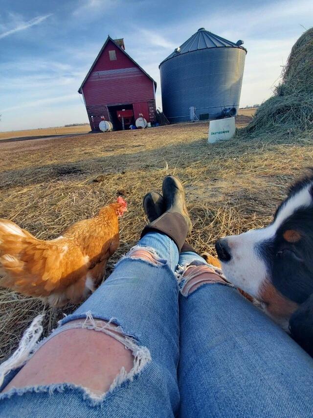 Terri Whitaker Larson